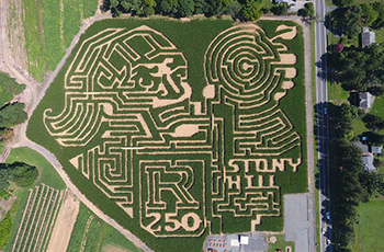 Corn maze at Stony Hill Farms