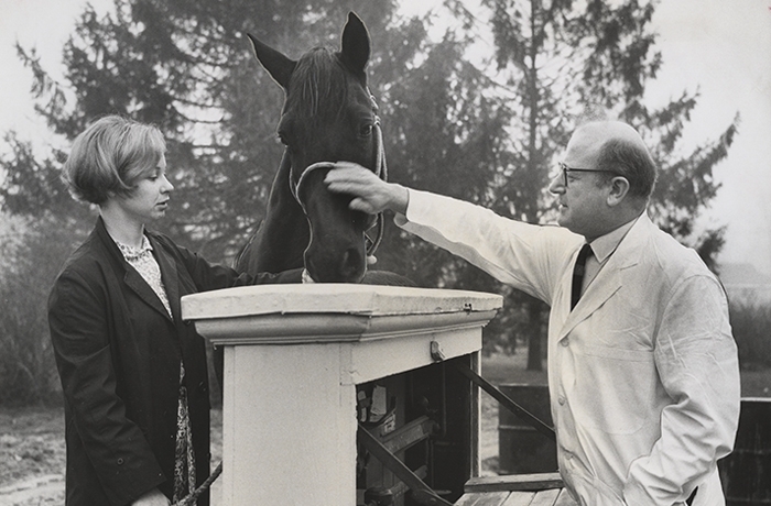 Stan the Horse gets a pat from biochemist David Lester