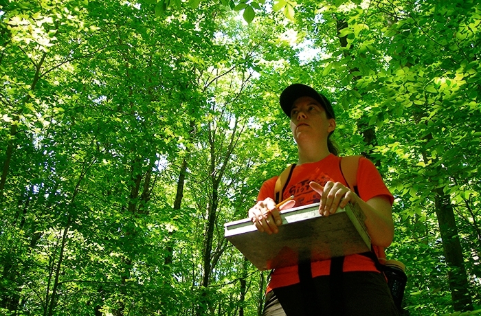 Rutgers researcher assesses invasive species in Sussex County
