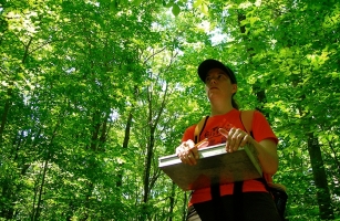 Rutgers researcher assesses invasive species in Sussex County