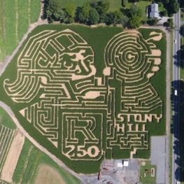 Corn maze for Rutgers 250