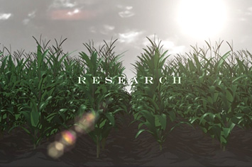 Corn and plant genomes, the focus of Messing&#039;s research