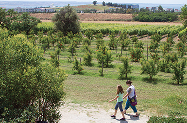 two students walking in a field in Greece